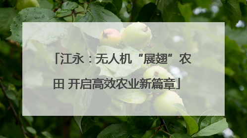 江永：无人机“展翅”农田 开启高效农业新篇章