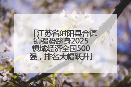 江苏省射阳县合德镇强势跻身2025镇域经济全国500强，排名大幅跃升