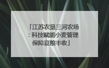 江苏农垦三河农场：科技赋能小麦管理保障夏粮丰收