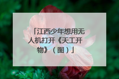 江西少年想用无人机打开《天工开物》（图）
