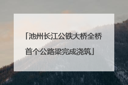 池州长江公铁大桥全桥首个公路梁完成浇筑