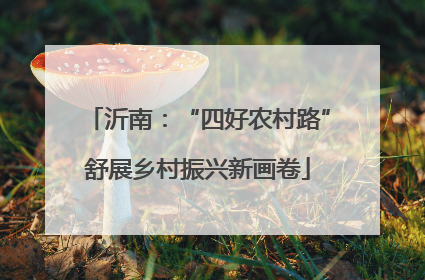 沂南：“四好农村路”舒展乡村振兴新画卷