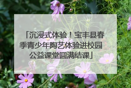 沉浸式体验！宝丰县春季青少年陶艺体验进校园公益课堂圆满结课