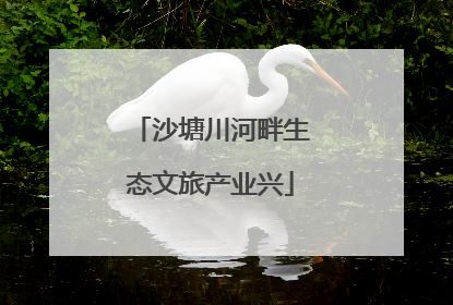 沙塘川河畔生态文旅产业兴