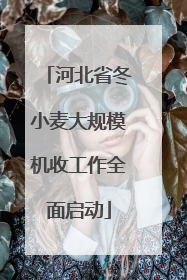 河北省冬小麦大规模机收工作全面启动