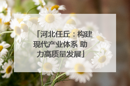 河北任丘：构建现代产业体系 助力高质量发展