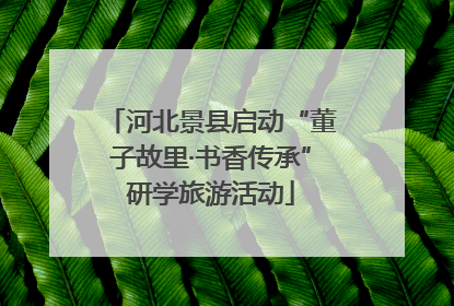 河北景县启动“董子故里·书香传承”研学旅游活动