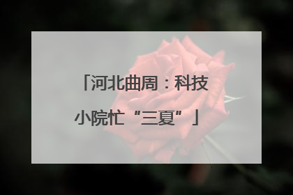 河北曲周：科技小院忙“三夏”