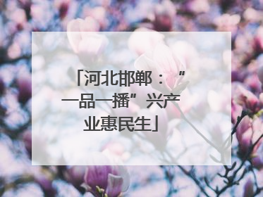 河北邯郸：“一品一播”兴产业惠民生