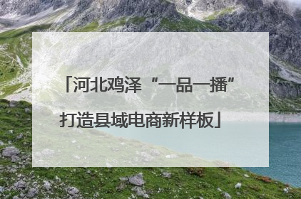 河北鸡泽“一品一播”打造县域电商新样板