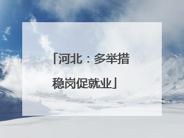 河北：多举措稳岗促就业