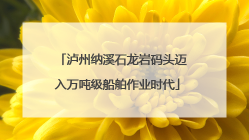 泸州纳溪石龙岩码头迈入万吨级船舶作业时代