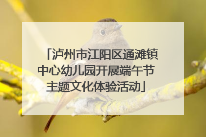 泸州市江阳区通滩镇中心幼儿园开展端午节主题文化体验活动