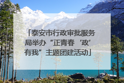 泰安市行政审批服务局举办“正青春‘政’有我”主题团建活动