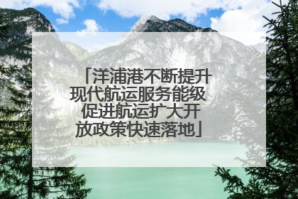 洋浦港不断提升现代航运服务能级 促进航运扩大开放政策快速落地