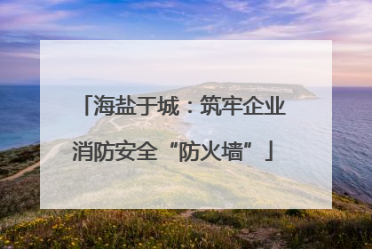 海盐于城：筑牢企业消防安全“防火墙”