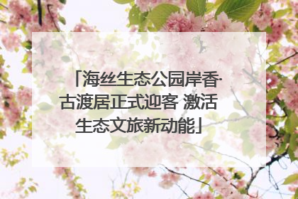 海丝生态公园岸香·古渡居正式迎客 激活生态文旅新动能