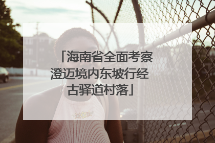 海南省全面考察澄迈境内东坡行经古驿道村落