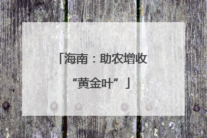 海南：助农增收 “黄金叶”