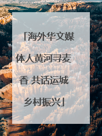 海外华文媒体人黄河寻麦香 共话运城乡村振兴