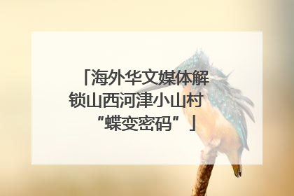 海外华文媒体解锁山西河津小山村“蝶变密码”