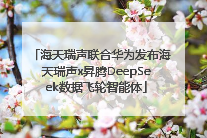海天瑞声联合华为发布海天瑞声x昇腾DeepSeek数据飞轮智能体