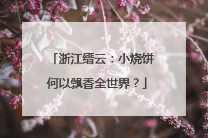 浙江缙云：小烧饼何以飘香全世界？