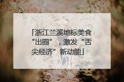 浙江兰溪地标美食“出圈”，激发“舌尖经济”新动能