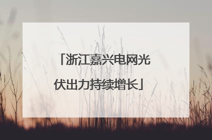 浙江嘉兴电网光伏出力持续增长