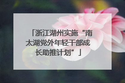 浙江湖州实施“南太湖党外年轻干部成长助推计划”