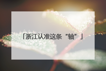浙江认准这条“轴”