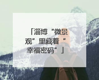 淄博“微景观”里藏着“幸福密码”