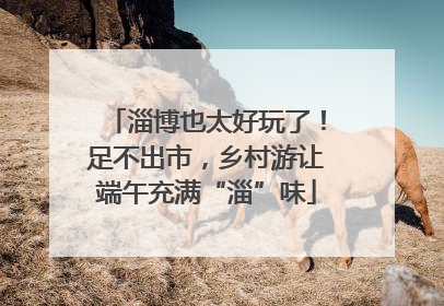 淄博也太好玩了！足不出市，乡村游让端午充满“淄”味