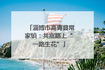 淄博市高青县常家镇：共富路上“一路生花”