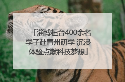 淄博桓台400余名学子赴青州研学 沉浸体验点燃科技梦想
