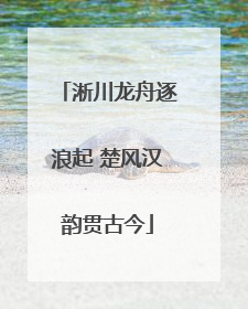 淅川龙舟逐浪起 楚风汉韵贯古今