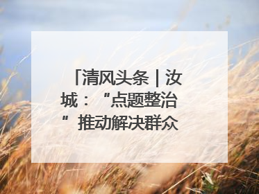 清风头条｜汝城：“点题整治”推动解决群众急难愁盼