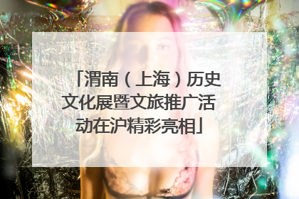 渭南（上海）历史文化展暨文旅推广活动在沪精彩亮相