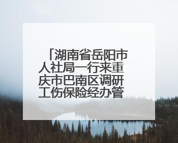 湖南省岳阳市人社局一行来重庆市巴南区调研工伤保险经办管理工作