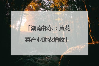 湖南祁东：黄花菜产业助农增收