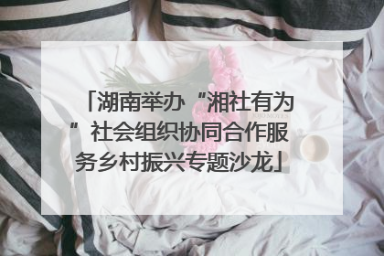 湖南举办“湘社有为”社会组织协同合作服务乡村振兴专题沙龙
