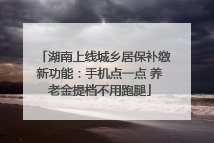 湖南上线城乡居保补缴新功能：手机点一点 养老金提档不用跑腿
