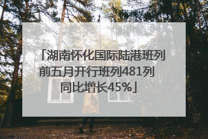 湖南怀化国际陆港班列前五月开行班列481列 同比增长45%