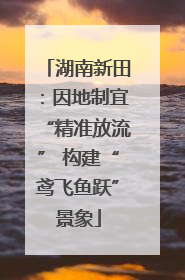 湖南新田：因地制宜“精准放流” 构建“鸢飞鱼跃”景象