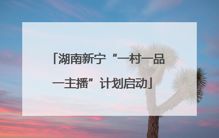 湖南新宁“一村一品一主播”计划启动