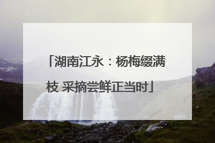 湖南江永：杨梅缀满枝 采摘尝鲜正当时