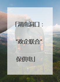 湖南洞口：“政企联合”保供电