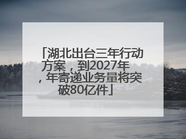 湖北出台三年行动方案，到2027年，年寄递业务量将突破80亿件