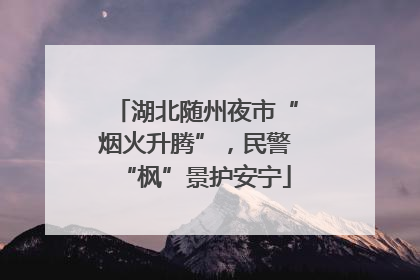 湖北随州夜市“烟火升腾”，民警“枫”景护安宁