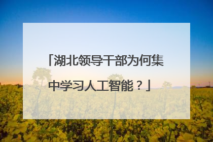 湖北领导干部为何集中学习人工智能？